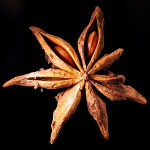 Puede incluir: Primer plano de una vaina de especia de anís estrellado sobre un fondo negro. La vaina en forma de estrella es de color marrón cálido, con varias puntas que irradian desde un núcleo central. Cada punta tiene una semilla.