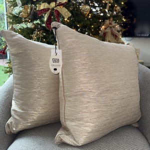 Callisto Home Pillows 24x24