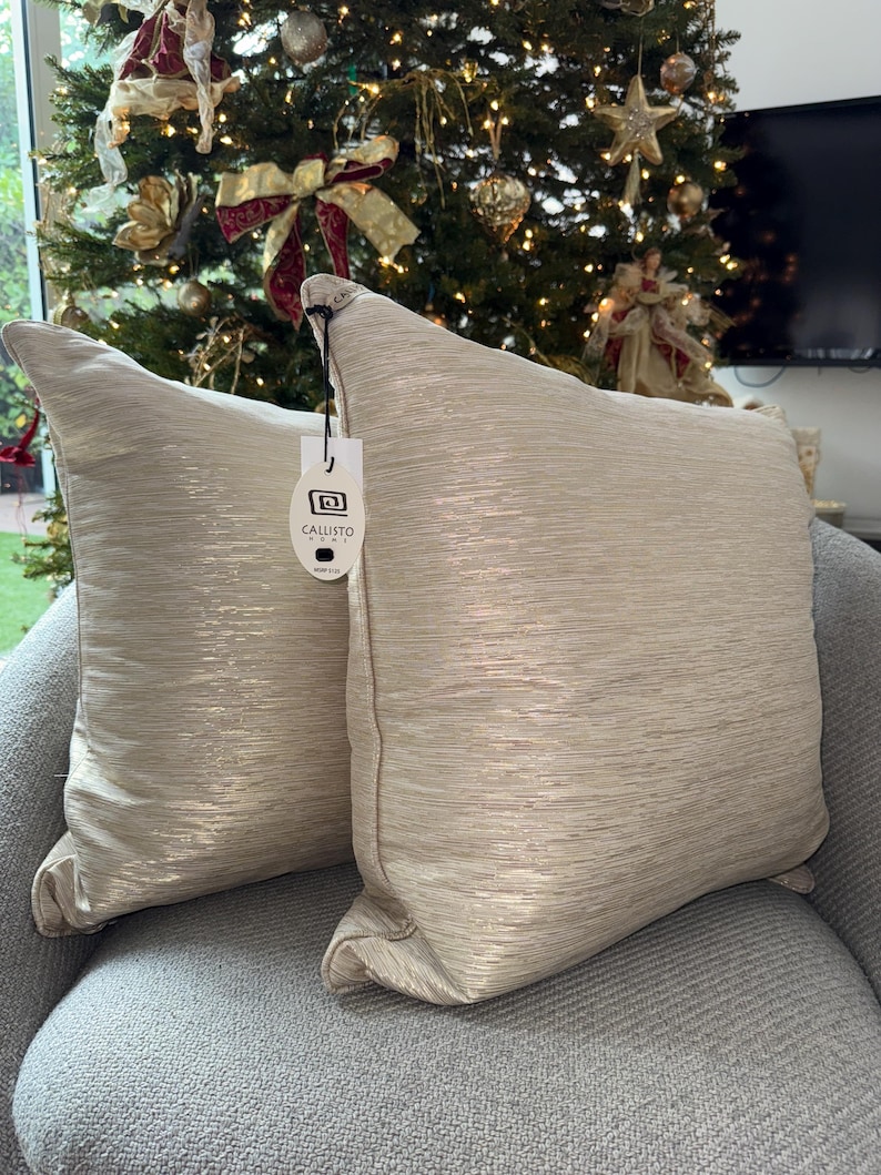 Callisto Home Pillows 24x24