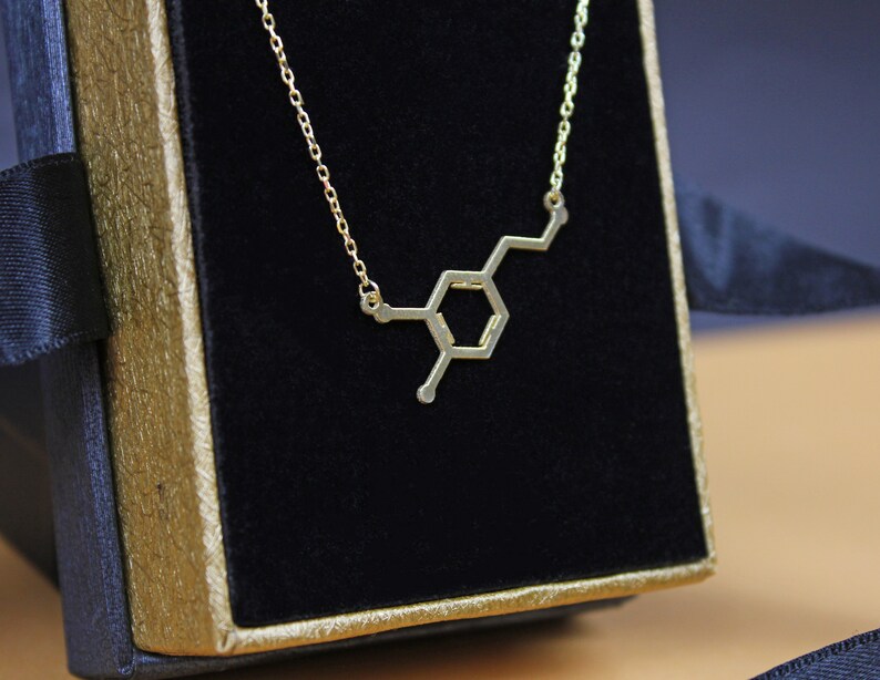Dopamine Necklace,motivation Necklace, Sterling Silver Dopamine Pendant