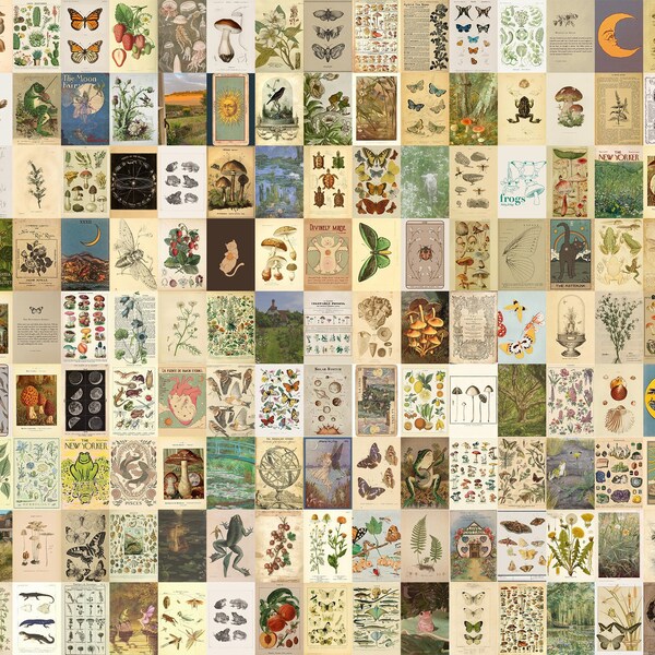 Cottagecore Decor - Etsy