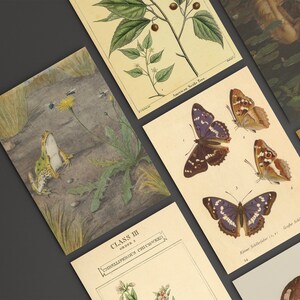 Cottagecore Aesthetic Wall Decor 115pcs Vintage Poster Wall Collage Kit ...