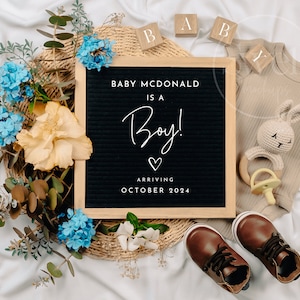 Boy Pregnancy Announcement Digital Baby Announcement Boy Gender Reveal Social Media Reveal Editable Template Its a Boy Little Brother