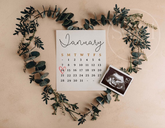 Pregnancy Announcement Digital Due Date Calendar Baby Announcement Minimal Social Media Gender Neutral Birth Announcement Digital Download