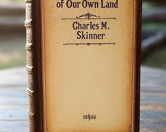 American Folklore Collection: Storie di fantasmi d'epoca e leggende native (edizione digitale PDF del 1896)