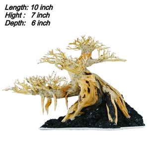 May include: A light brown driftwood bonsai tree with a black base and a white base. The tree is 10 inches long, 7 inches high, and 6 inches deep.