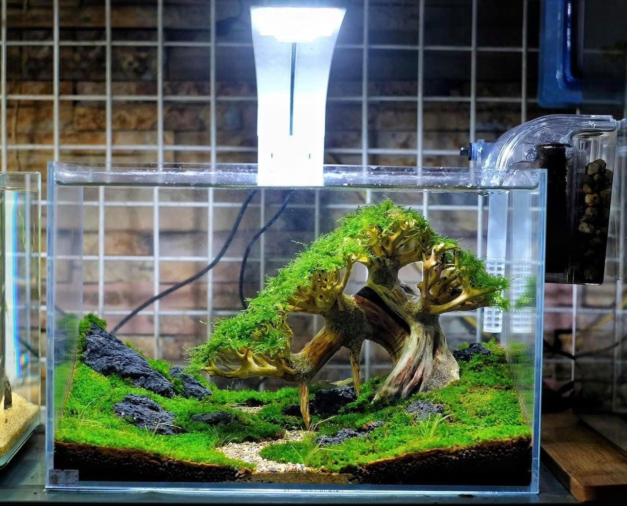 Natural Driftwood Bonsai Tree: Handcrafted Aquarium Decor (10" Length ...