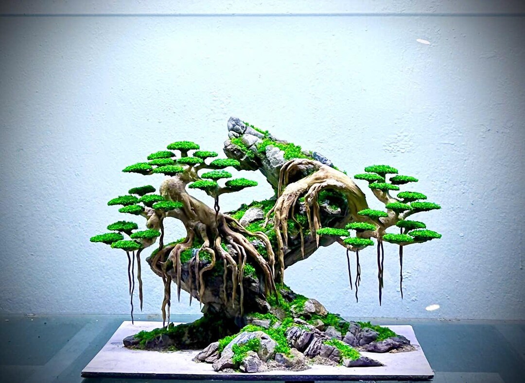 Handcrafted Bonsai Driftwood Tree: Natural Aquarium Aquascape Decor - Etsy