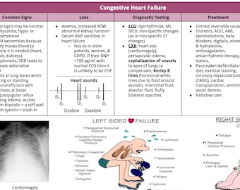 Der Kardiologie-Leitfaden ist perfekt organisiert für die Zertifizierung durch Nclex, PA Pance und nP