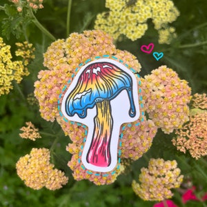 Pan Pride Pilz Aufkleber!