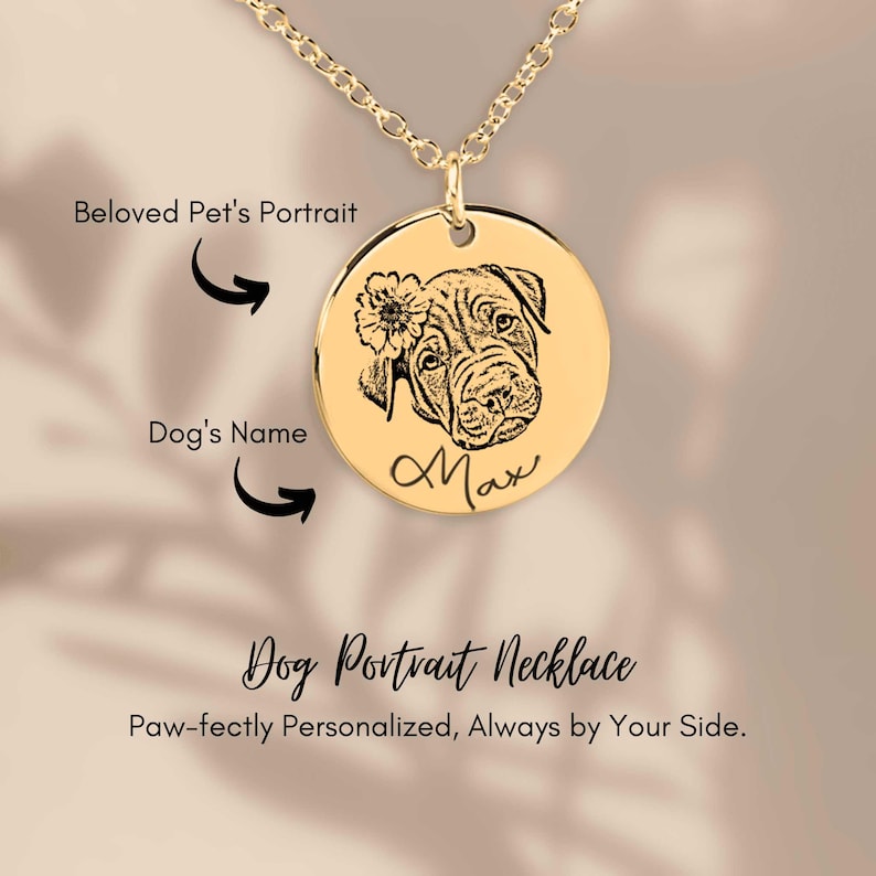 Rainbow Bridge Necklace, Loss of Dog Cat Pet Memorial Jewelry, Pet ...