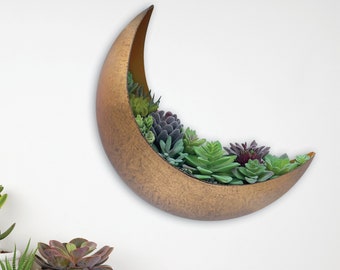 Gold Crescent Moon Wall Planter: Boho Celestial Decor