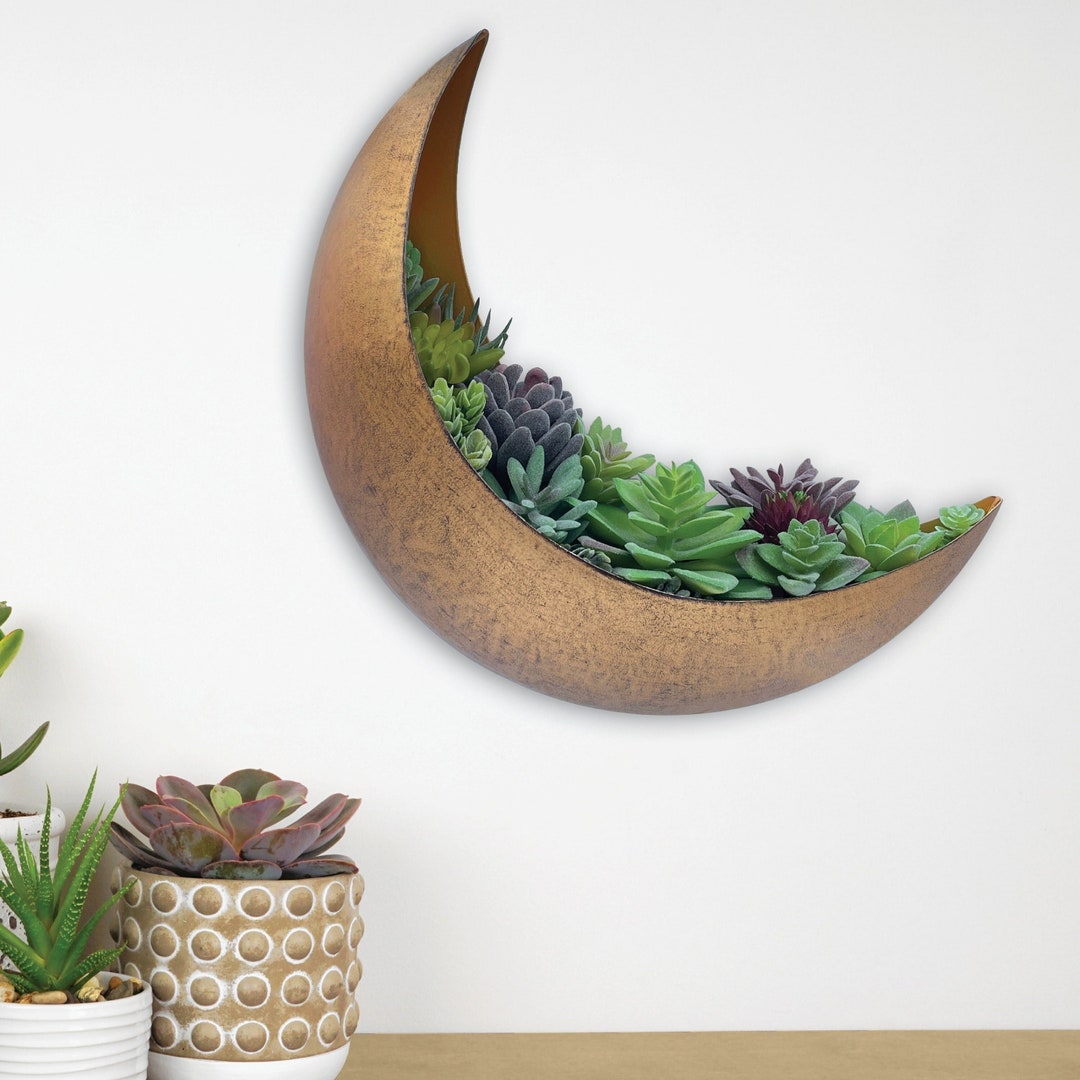 Crescent Moon Wall Planter - Indoor Outdoor Metal Planter for ...