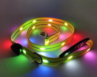 LED USB chargeable dog leash!