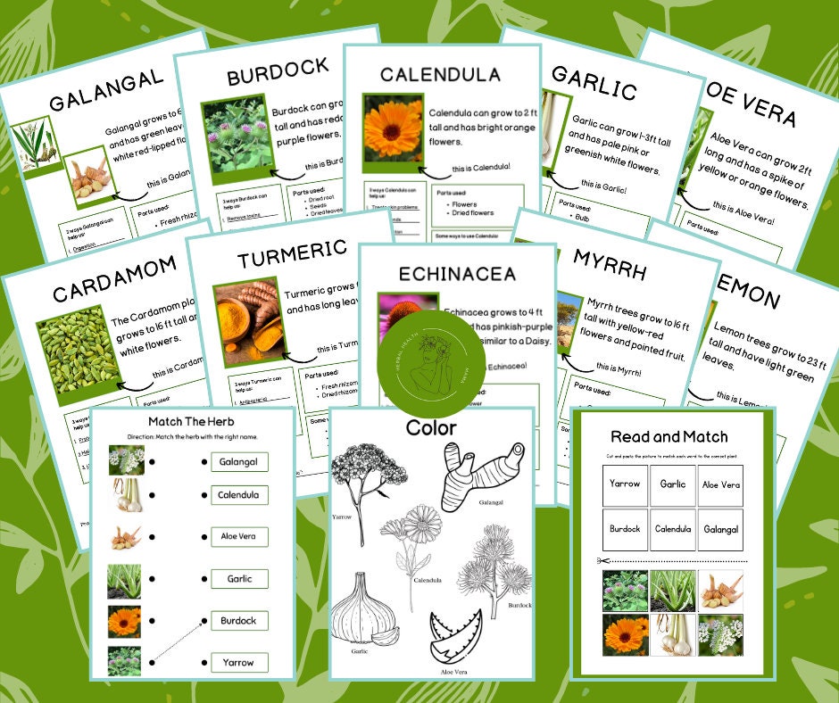 Herbology for Kids Printable Bundle - Etsy