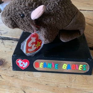 Könnte beinhalten: Ein braunes Plüschtier-Bison mit rosa Nase und einem Ty Beanie Babies-Etikett. Das Spielzeug sitzt auf einem schwarzen Präsentationsständer mit der Aufschrift "Beanie Babies".