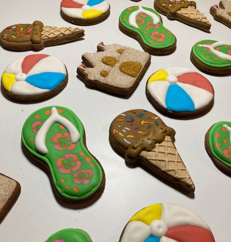 Beach Day Horse Treats Gourmet Horse Cookies by Cantercafé Etsy