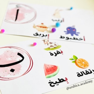Letras árabes con tarjetas didácticas harakat / Alfabeto árabe / Árabe para niños / Tarjetas didácticas árabes / Educación en el hogar árabe / الحروف بالحركات