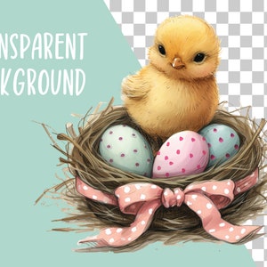 Puede incluir: Ilustraci&oacute;n en acuarela de un pollito amarillo sentado en un nido con tres huevos decorados. El nido est&aacute; hecho de ramitas y atado con una cinta rosa con lunares. Las palabras "TRANSPARENT BACKGROUND" est&aacute;n en la parte superior izquierda.