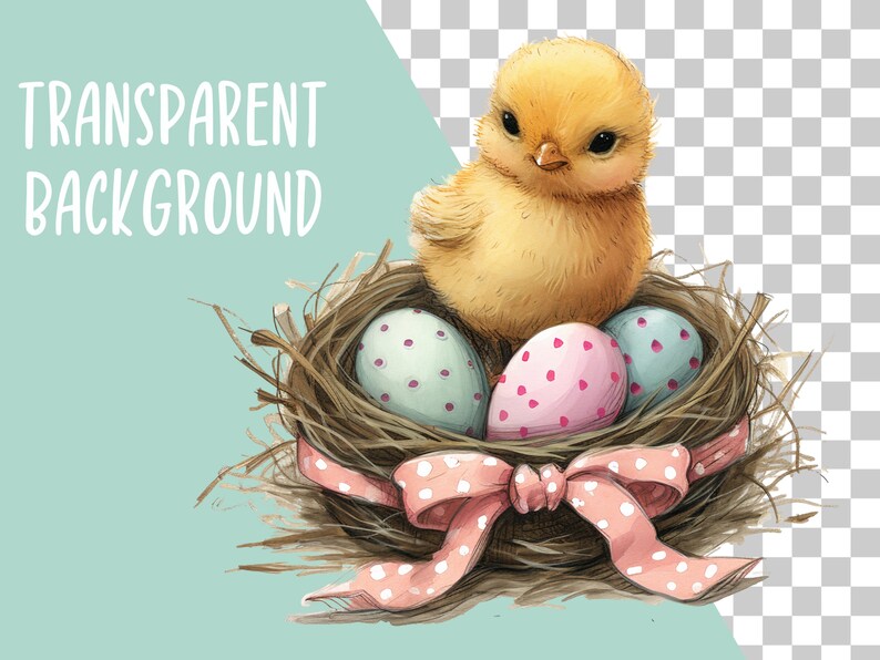 Puede incluir: Ilustraci&oacute;n en acuarela de un pollito amarillo sentado en un nido con tres huevos decorados. El nido est&aacute; hecho de ramitas y atado con una cinta rosa con lunares. Las palabras "TRANSPARENT BACKGROUND" est&aacute;n en la parte superior izquierda.