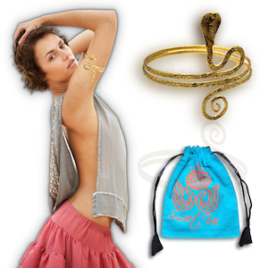 Upper Arm Bracelet for Women and a Sweet Us Pouch, Gold Tone Adjustable Chic Snake Armband Armlet