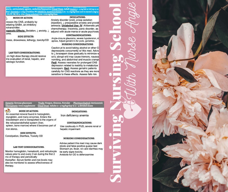pharmacology-study-guides-for-nursing-school-etsy