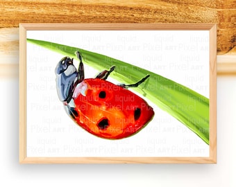 Biedronka, ilustracja chrząszcza, dekoracja prezentowa z biedronką