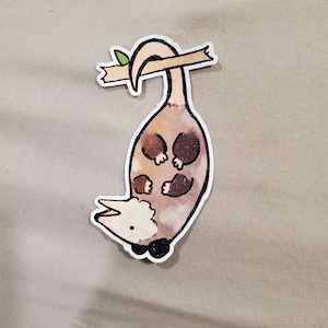 May include: A brown and white possum with a pink tail hanging upside down from a branch. The possum has a white face and black eyes. The branch is brown and has a green leaf on it.