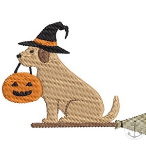 May include: A brown dog wearing a black witch hat with an orange and black band, holding an orange jack-o'-lantern, and sitting on a brown broom.