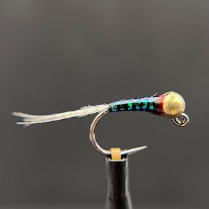 Black Prince Midge Perdigon