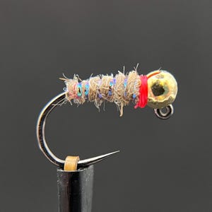 Euro Sexy Waltz Worm