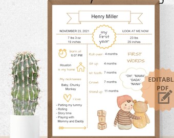 Editable Baby First Year Sign Template, Custom Baby Infographic, Baby Stats Sign, Milestone Sign, Baby First Year Sign, Digital Download