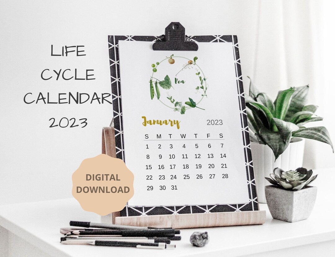Printable Calendar 2023, Cute Desk Calendar Printable, Montessori