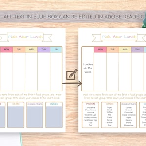 May include: A printable lunch planner with a pink, yellow, and blue color scheme. The planner has a section for each day of the week, Monday through Friday, and a section for listing lunch options for the week. The planner includes a list of food groups to choose from, including protein, grains, vegetables/fruits, and snacks.