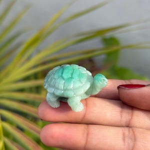 May include: A small, carved turtle figurine in shades of green and white. The turtle has a detailed shell and is held in a person's hand. The figurine is likely made of stone or a similar material.
