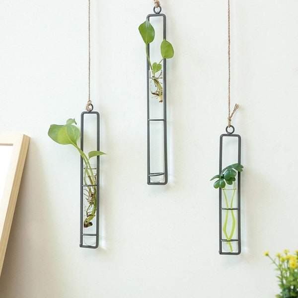 Glass Wall Vase Etsy