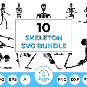 Skeleton SVG Bundle - 10 Skeletons, Skeleton Fitness SVG, Bones Exercising Silhouette, Skeleton Yoga Stencil, Skull SVG