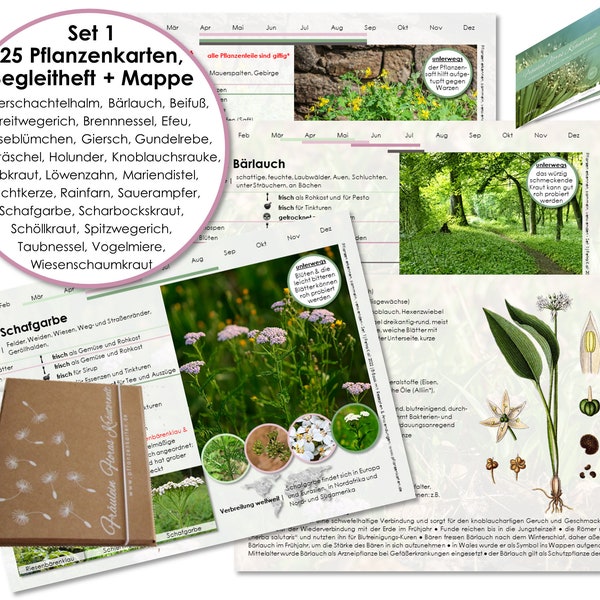 Karten Set 1 Wildkräuter Heilpflanzen Botanica Wildpflanzen Heilkräuter Hausmittel Sammeln