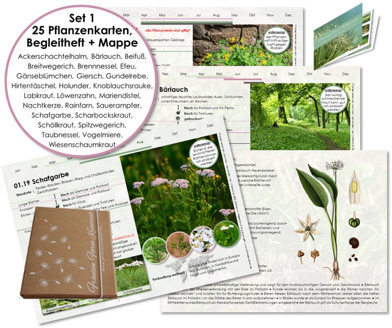 Karten Set 1 Wildkräuter Heilpflanzen Botanica Wildpflanzen Heilkräuter Hausmittel Sammeln Bild 1