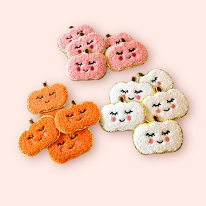 May include: A set of ten felt pumpkin patches with embroidered faces. The pumpkins are in three colors: orange, pink, and white. The pumpkins are all smiling with closed eyes.