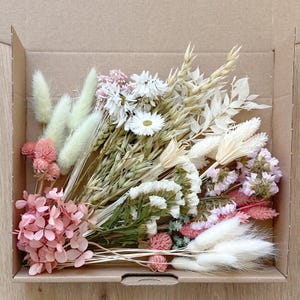 Trockenblumen lang pampagras