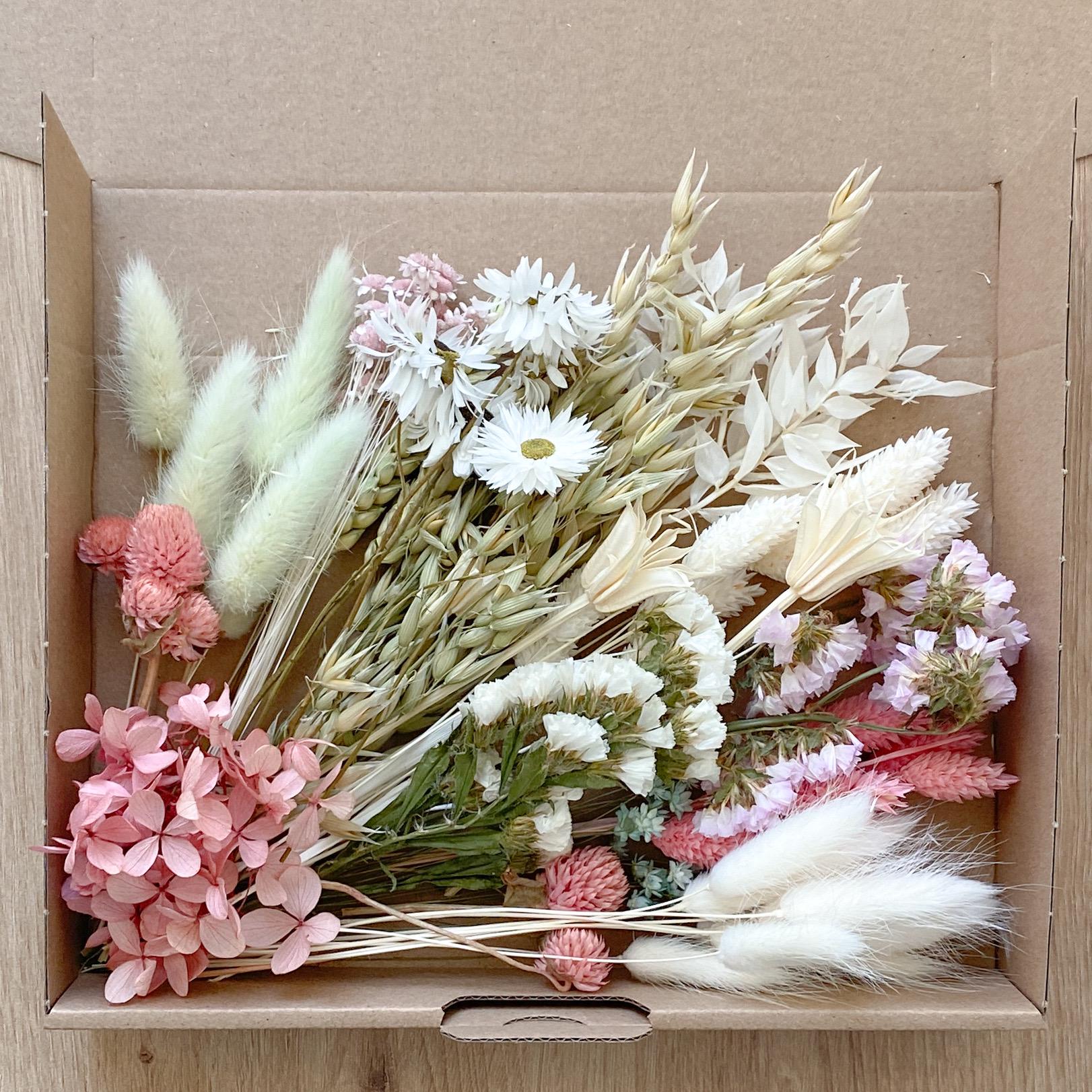 Trockenblumen lang pampagras