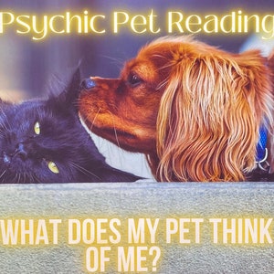 Leitura psíquica de animais de estimação | O que seu Pet pensa sobre você? | Qual é a personalidade do seu Pet?| Vivo ou falecido