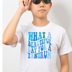 May include: White t-shirt with a blue and light blue graphic that says "What a beautiful day for a tantrum".
