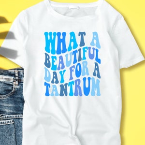 May include: White t-shirt with a blue and white graphic that says "What a beautiful day for a tantrum".