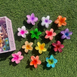 Pinza para el pelo con diseño de flor de hibisco pastel: accesorio Coconut Girl