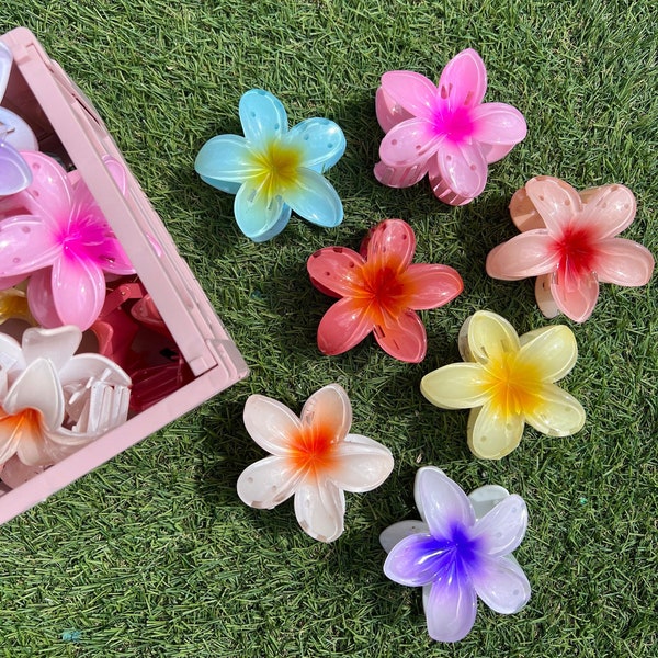 Pastel Hibiscus Claw Hair Clips Matt for Thick Hair, Daisy Cotton Candy Clips, Hair Accessory, Perfect Birthday Gift for Her