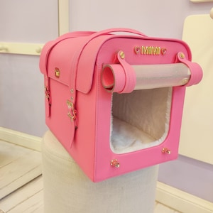 Personalized cat carrier 2025