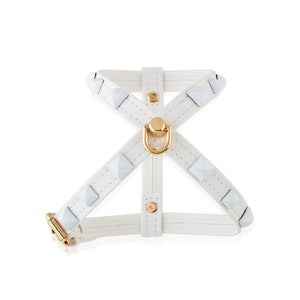 Harnais pour chien avec accessoires, Blanc, Cuir, Personnalisé, Nom, Médaille, Carte d'identité, Fait main, Fille, Garçon, Petit, Collier de créateur pour chien
