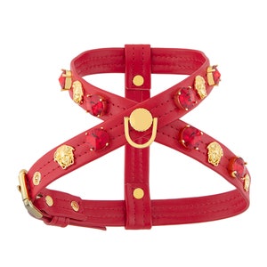 Red Dog Harness With Medusa, Red Leather, Dog Harness Girl, Dog Harness Boy, Small Dog Harness, Dog Harness With Name, Gift For Dogs